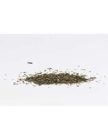 Sencha