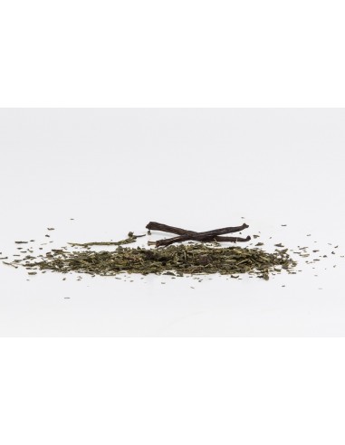 Sencha/Vanille