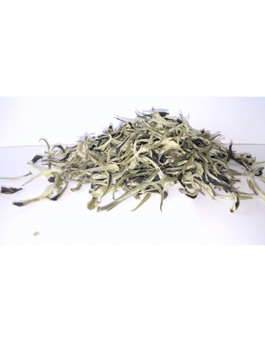 BIO China White Tips